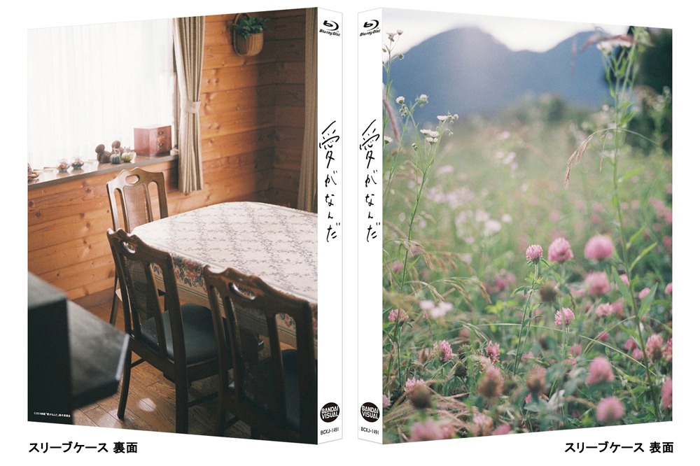 「愛がなんだ」特装限定版Blu-rayの特製スリーブ。