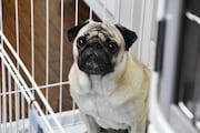 「まだ結婚できない男」