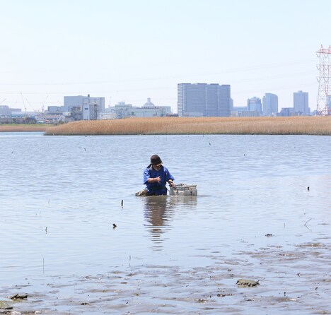 「東京干潟」 (c)TOKYO HIGATA PROJECT