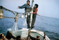 「アフリカの光」 (c)東宝