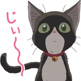 今から晴れるよ 天気の子 全40種のlineスタンプ発売 写真28枚 映画ナタリー