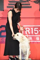 パルをなでる吉岡里帆。