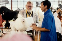 「ドッグマン」新場面写真