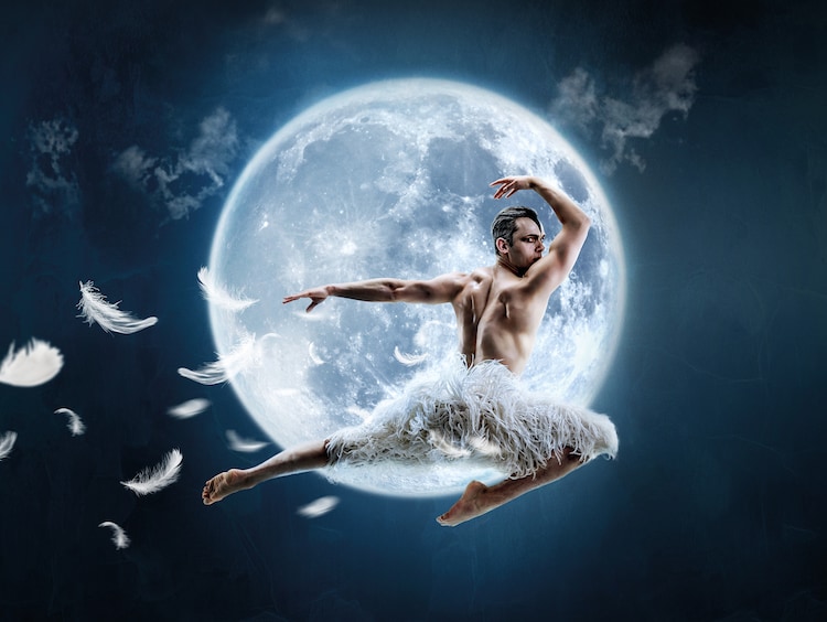 男性スワンによる「白鳥の湖」新演出版が劇場公開、演出・振付はマシュー・ボーン（動画あり） 映画ナタリー