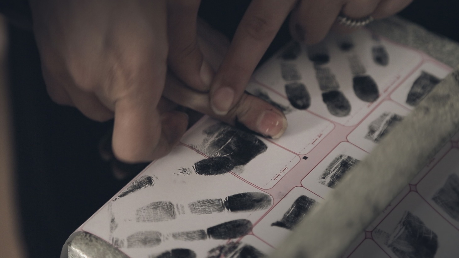 「少女は夜明けに夢をみる」