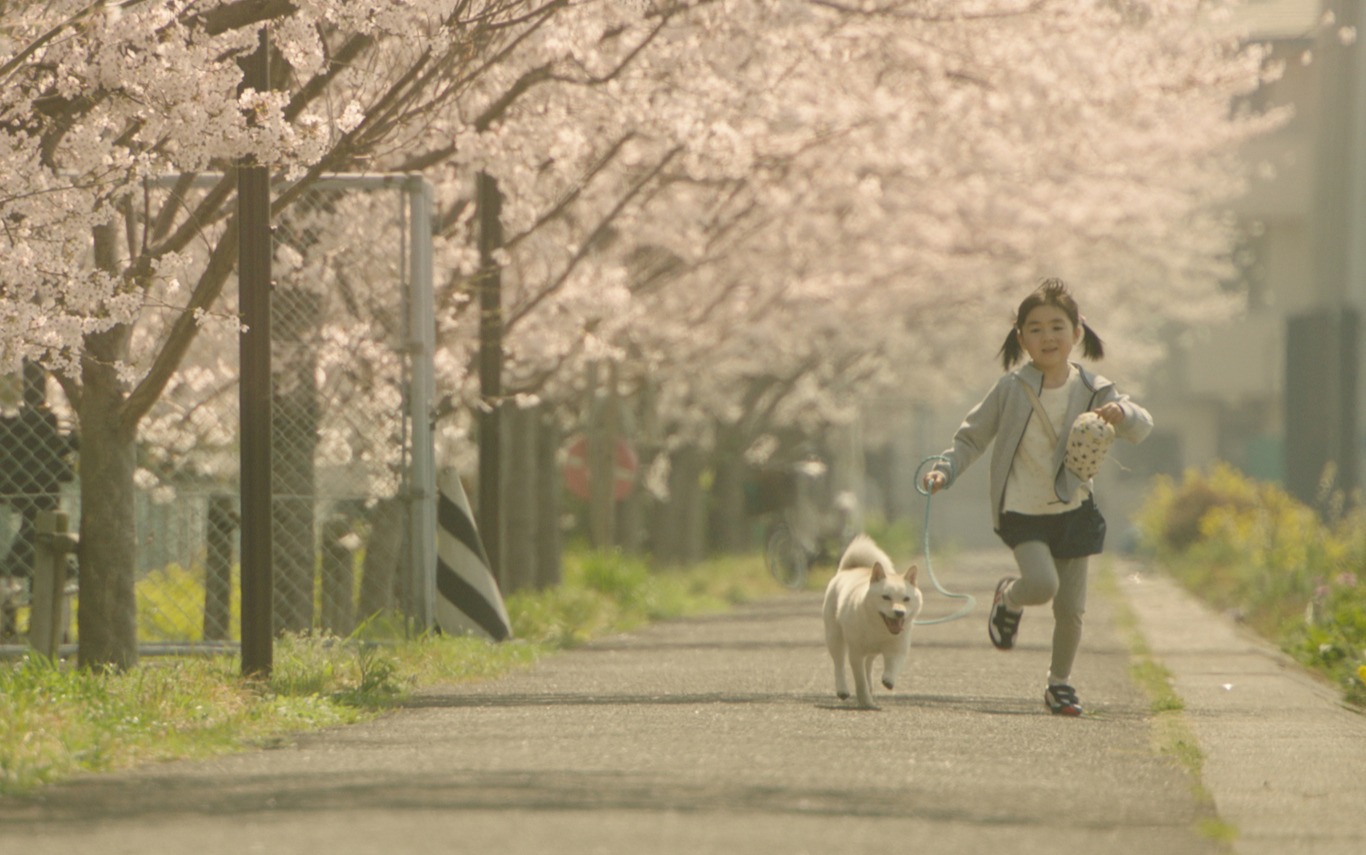 「駅までの道をおしえて」