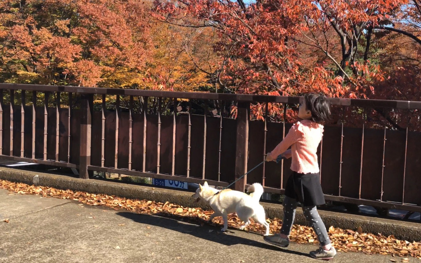 「駅までの道をおしえて」