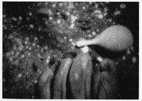 「くず」（飯村隆彦）