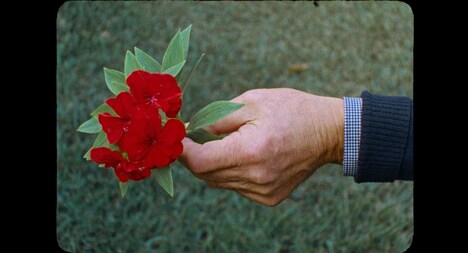 「30歳のとき、世界を廻った」（アヤ・コレツキー）