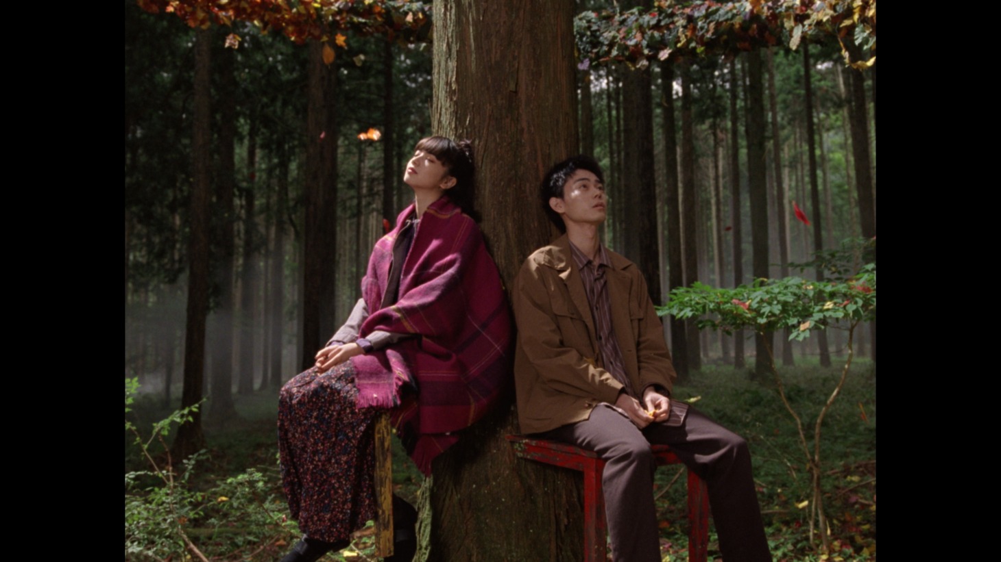 「niko and...」のWebムービー「autumn true true true」より。