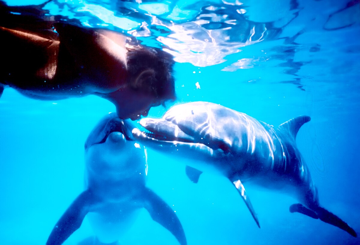 「グラン・ブルー」のモデル、伝説のダイバー追った「ドルフィン・マン」予告公開