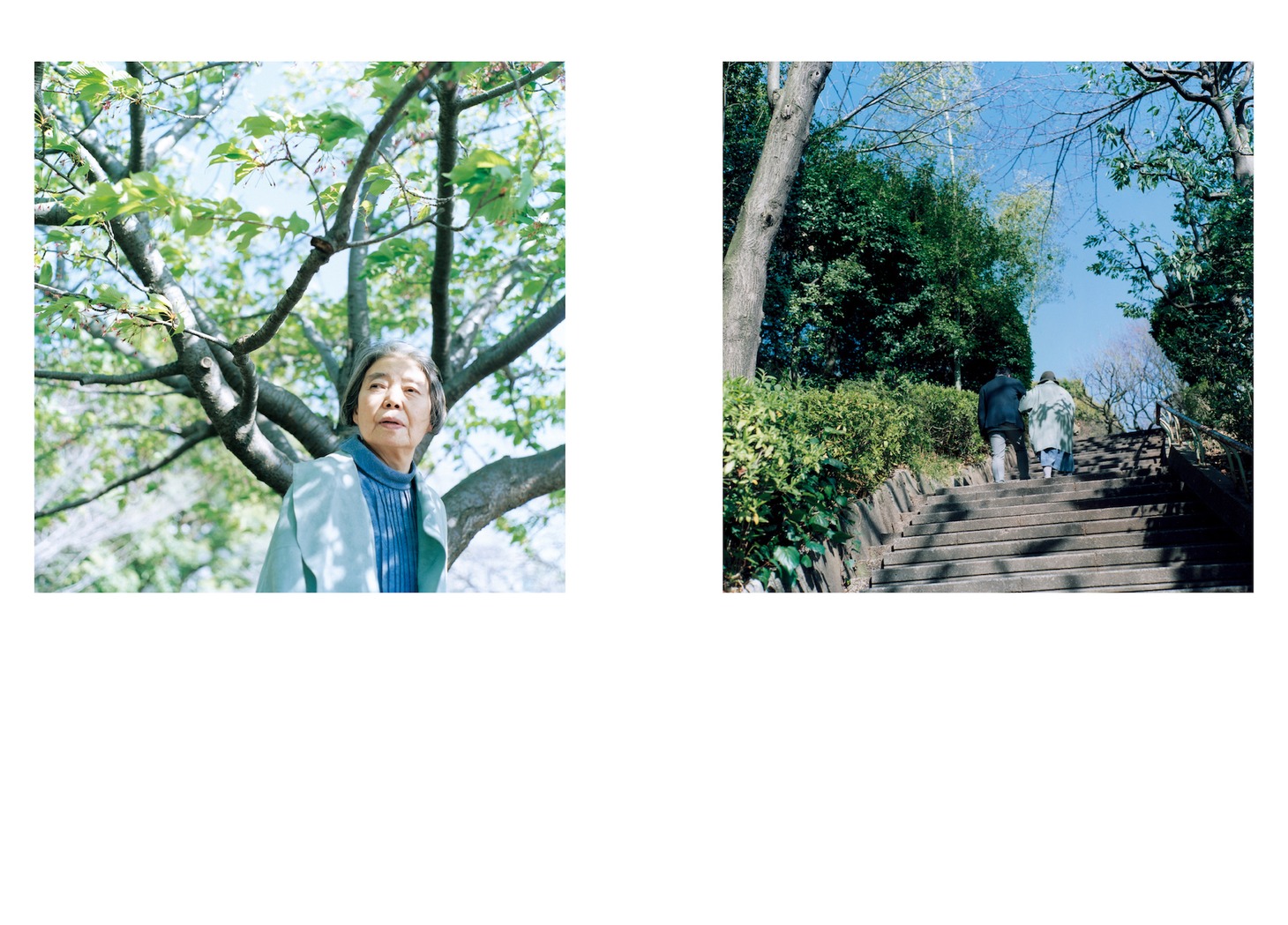 「希林さんといっしょに。」中面