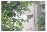 「希林さんといっしょに。」特典となるポストカード。