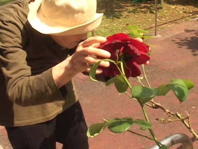 「そこにあるもの」