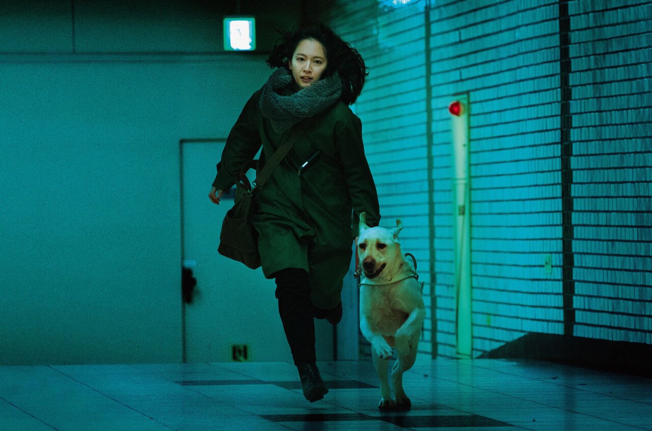 吉岡里帆と高杉真宙が奔走、「見えない目撃者」主題歌ver.の特別映像