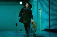 映画「見えない目撃者」メインビジュアル (c)2019「見えない目撃者」フィルムパートナーズ (c)MoonWatcher and N.E.W.