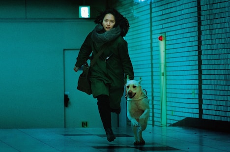 映画「見えない目撃者」メインビジュアル (c)2019「見えない目撃者」フィルムパートナーズ (c)MoonWatcher and N.E.W.