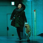 吉岡里帆と高杉真宙が奔走、「見えない目撃者」主題歌ver.の特別映像