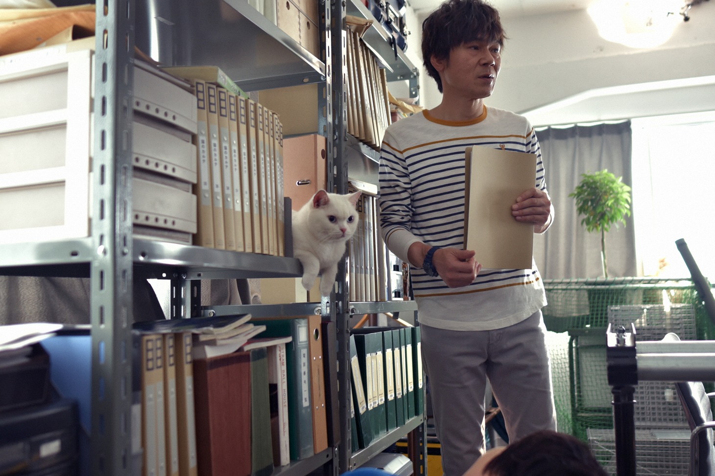 「猫探偵の事件簿2」