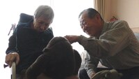 「調査屋マオさんの恋文」