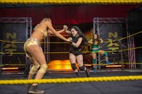 「ファイティング・ファミリー」