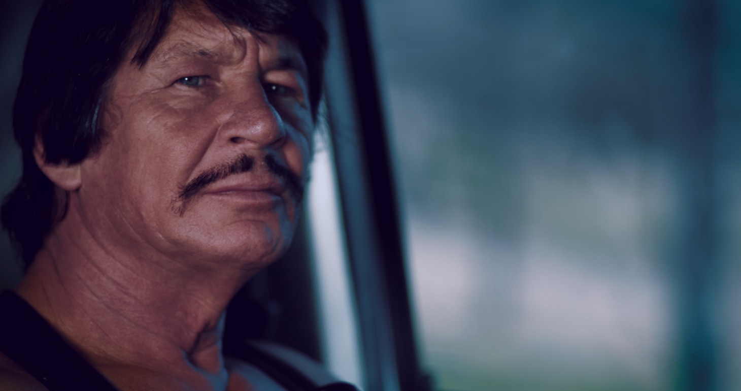 「野獣処刑人 ザ・ブロンソン」