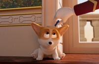 「ロイヤルコーギー レックスの大冒険」新場面写真