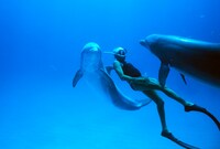 「ドルフィン・マン～ジャック・マイヨール、蒼く深い海へ」