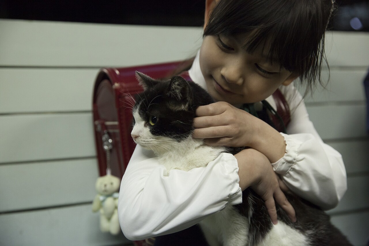 上田慎一郎ら監督4人の“猫オムニバス”、吉祥寺猫まつりで野外上映