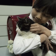 上田慎一郎ら監督4人の“猫オムニバス”、吉祥寺猫まつりで野外上映