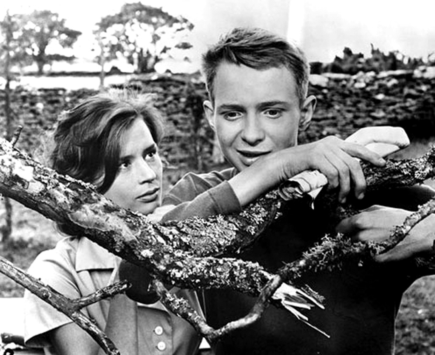 「鏡の中にある如く」 (c)1961 AB SVENSK FILMINDUSTR