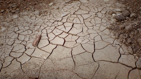 「気候戦士～クライメート・ウォーリアーズ～」