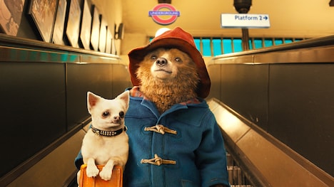 「パディントン」 (c)2014 STUDIOCANAL S.A.  TF1 FILMS PRODUCTION S.A.S. PADDINGTON BEAR™, PADDINGTON™ AND PB™ ARE TRADEMARKS OF PADDINGTON AND COMPANY LIMITED