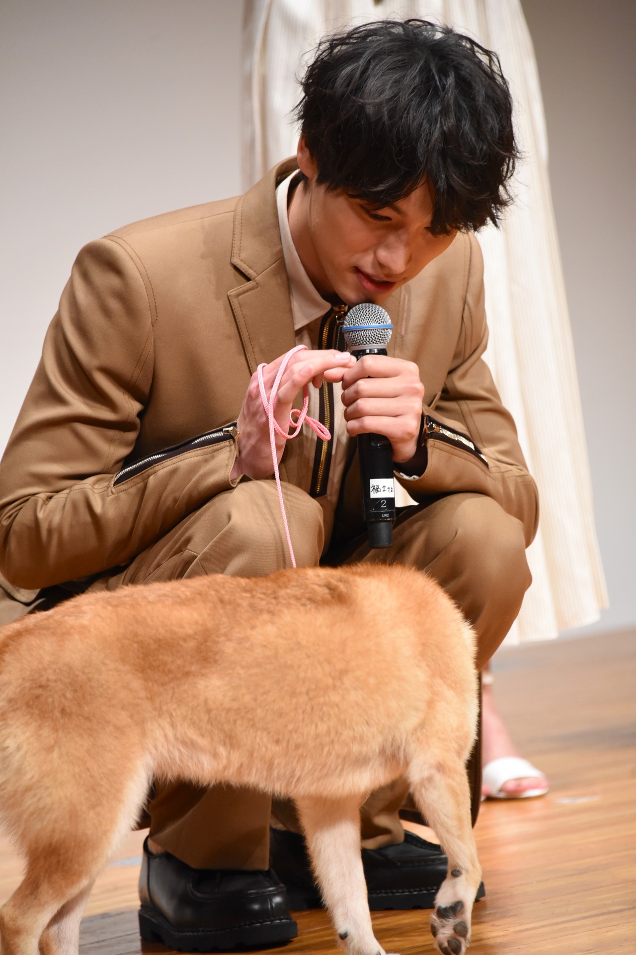 シロに歩み寄った福士蒼汰。