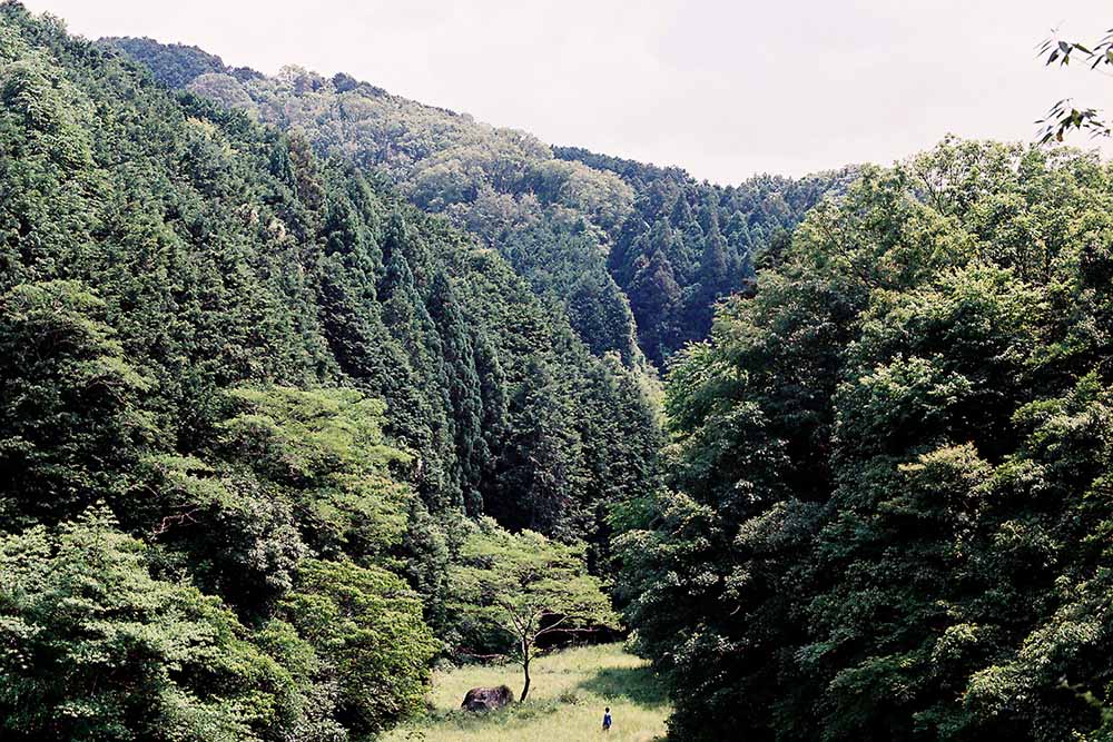 第20回TAMA NEW WAVEコンペ作品発表、PFFグランプリ受賞の「おばけ」など