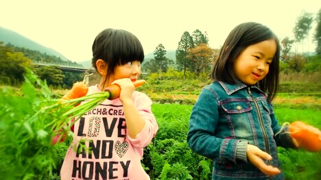 「いただきます ここは、発酵の楽園」