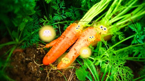 「いただきます ここは、発酵の楽園」