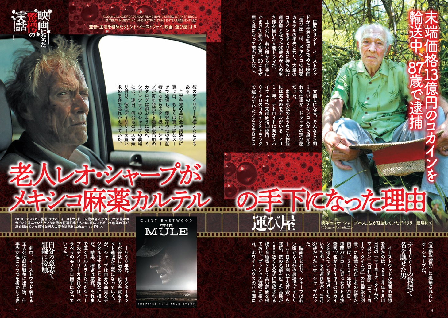 「映画になった驚愕の実話」中面サンプル