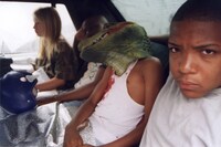 「ジョージ・ワシントン」