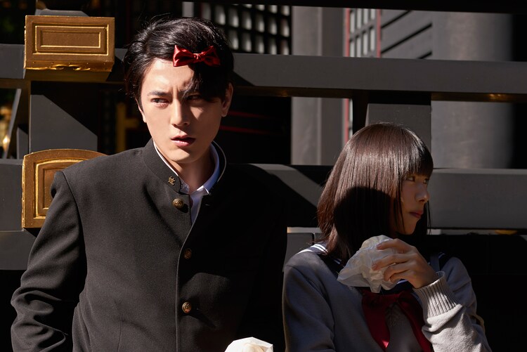 桜井日奈子が間宮祥太朗の頭にリボン付ける 殺さない彼と死なない彼女 本編映像 コメントあり 映画ナタリー 桜井日奈子が間宮祥太朗の頭にリボン付ける 殺さない彼と死なない彼女 本編映像 コメントあり 映画ナタリー