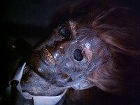 「四次元への招待」