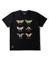 Mothra T（税込7590円）