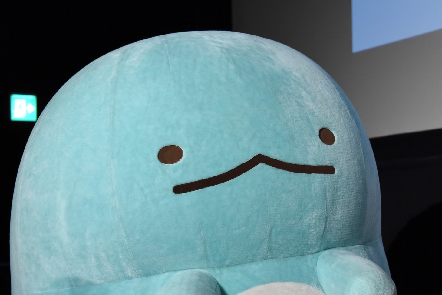 とかげ