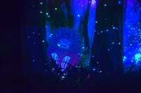 ピグモンのインタラクティブ映像。