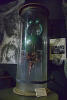 研究家のラボの様子。