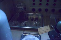 研究科のラボより、レッドキングの鼻くそ。