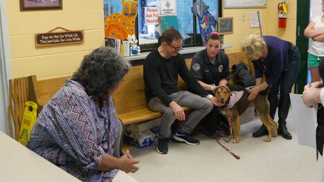 「ベラのワンダフル・ホーム」メイキング写真