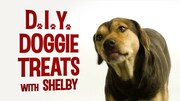 「シェルビーと作るワンちゃんスイーツ」