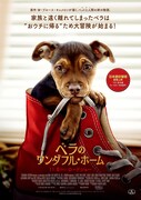 「ベラのワンダフル・ホーム」ポスタービジュアル