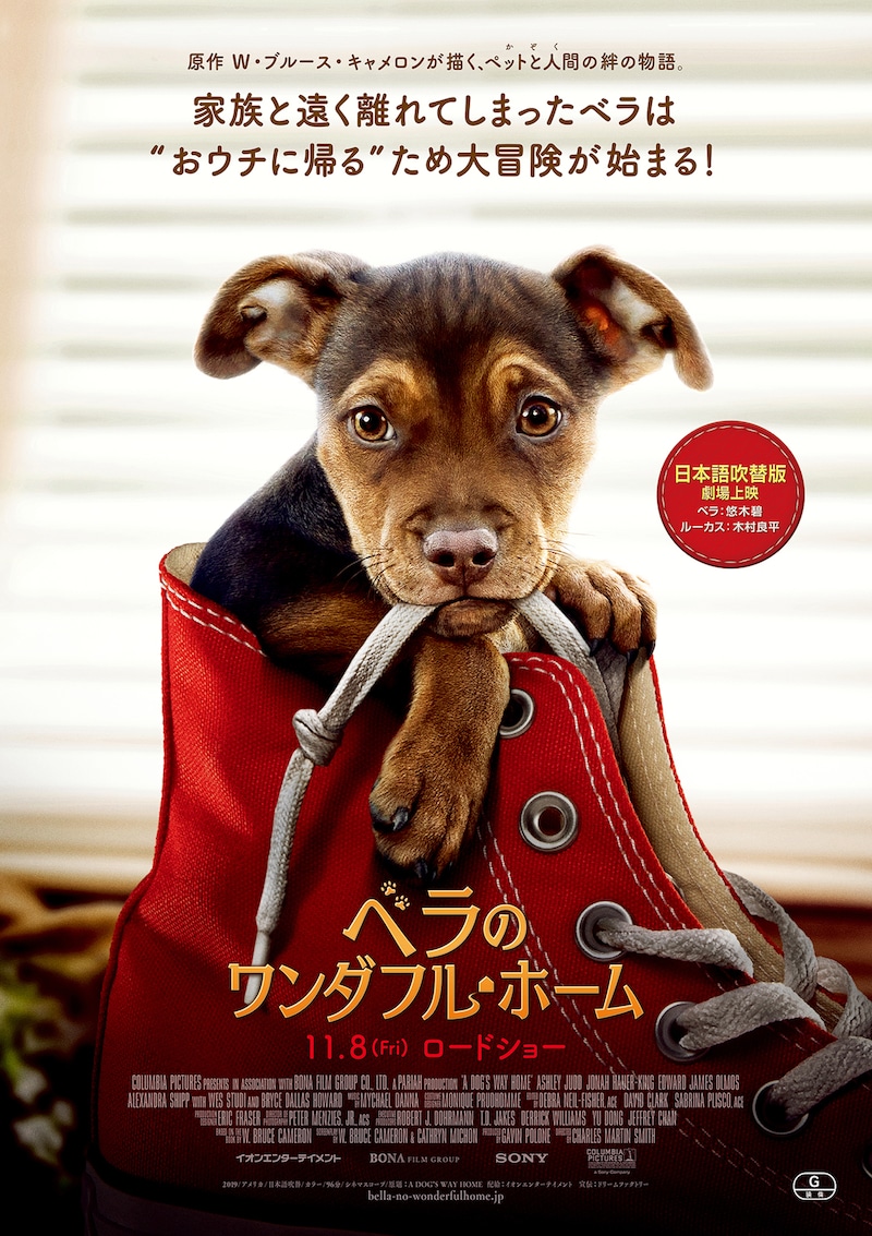 「ベラのワンダフル・ホーム」ポスタービジュアル